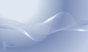 Fibre & Data Connectivity